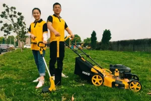 may cat co la gi thumb