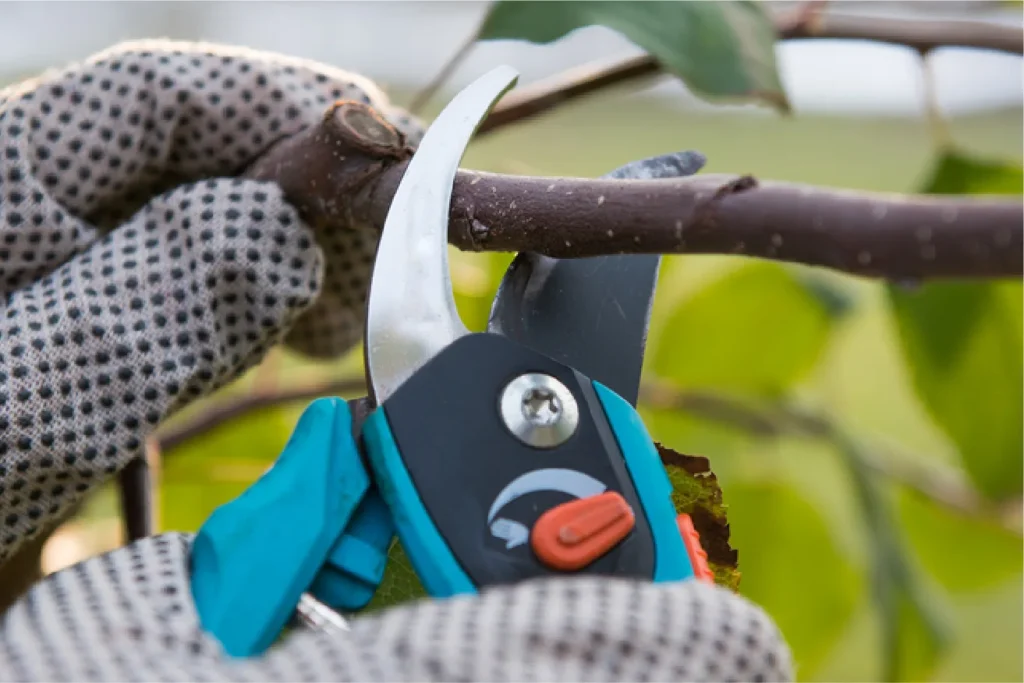 su dung keo cat tia thumb