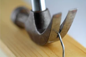 top 5 bua nho dinh thumb