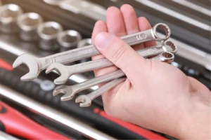 tu van cach mua co le thumb