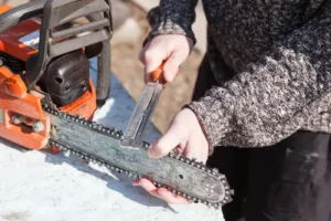 cong dung va cach dung dua cua xich thumb