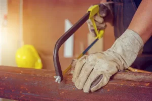 dac diem va cong dung cua sat thumb