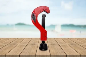 dao cat ong dong la gi thumb