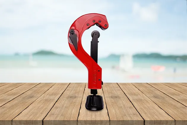 dao cat ong dong la gi thumb