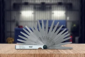 mot so kien thuc ve bo can la thumb