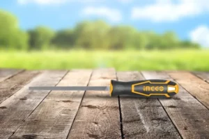 nhung thong tin thu vi ve dua sat vuong thumb