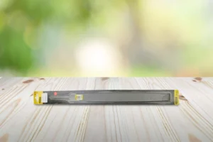 nhung thong tin ve dua luoi cua xich thumb