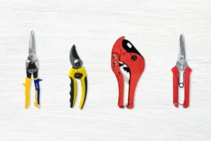 top nhung loai keo cat thong dung nhat thumb