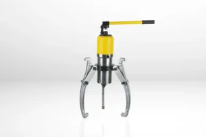 vam thuy luc gom nhung loai nao thumb