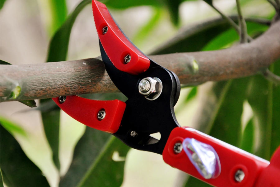 Kéo cắt tỉa cành Kéo cắt tỉa cành