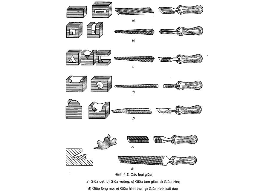 Phân loại dũa theo hình dạng
