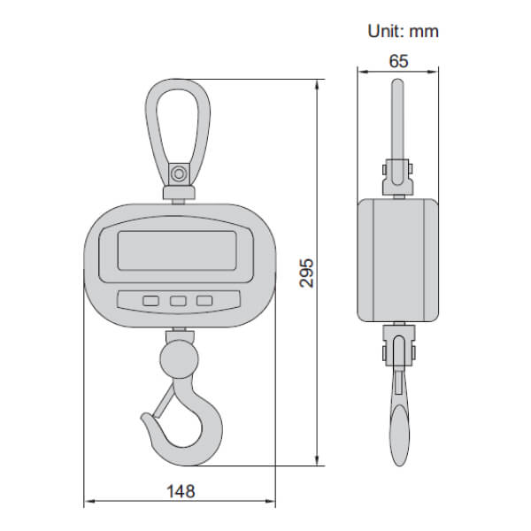 Cân treo điện tử Insize 8202 loại phổ thông