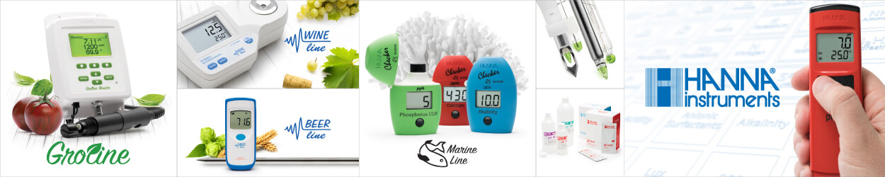 Bộ điều khiển pH/ORP trong đường ống bể bơi và spa Hanna BL121-10