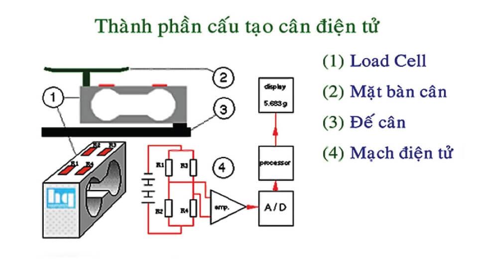 Cấu tạo của cân điện tử Cấu tạo của cân điện tử
