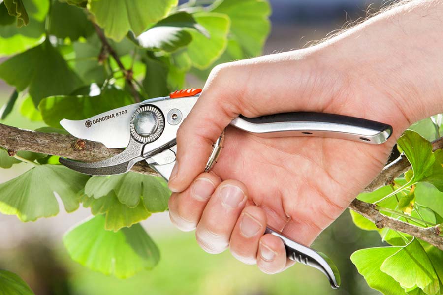 Hướng dẫn sử dụng kéo cắt cây đơn giản Hướng dẫn sử dụng kéo cắt cây đơn giản