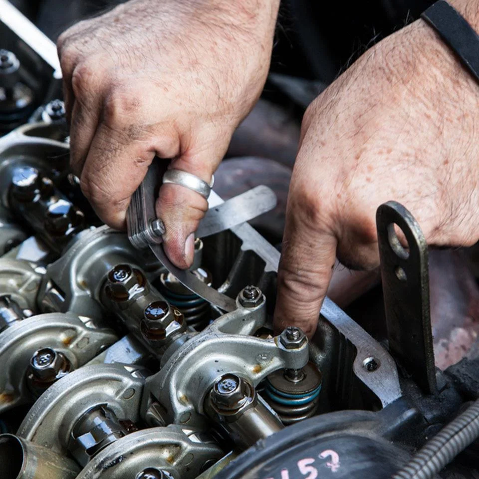 Ứng dụng của căn lá