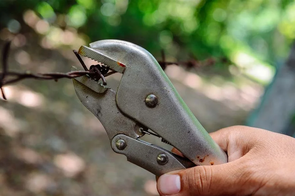 Ứng dụng nổi bật của kìm chết