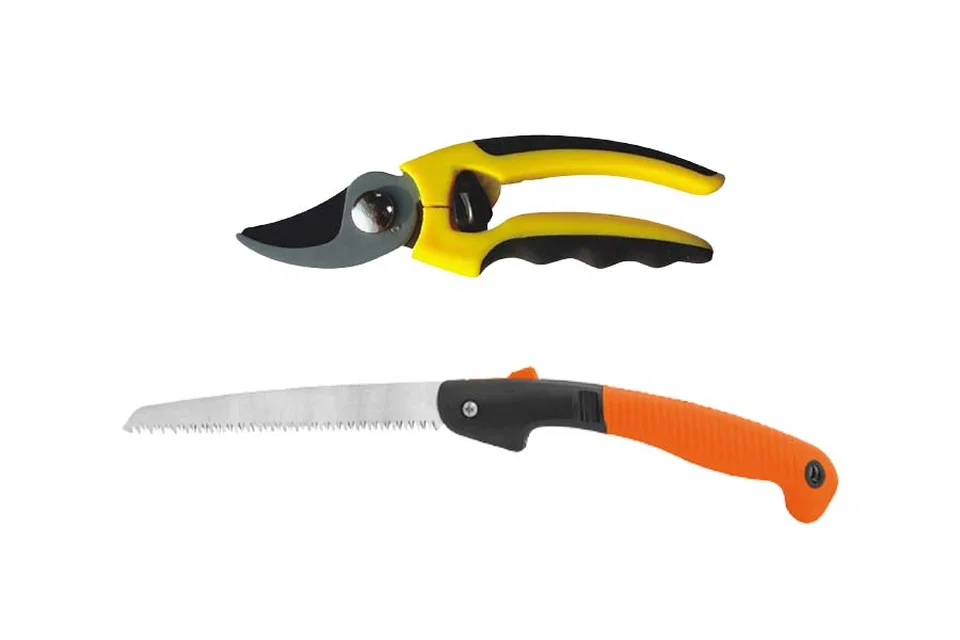 Kéo và cưa cắt cành chuyên dùng cắt tỉa cây